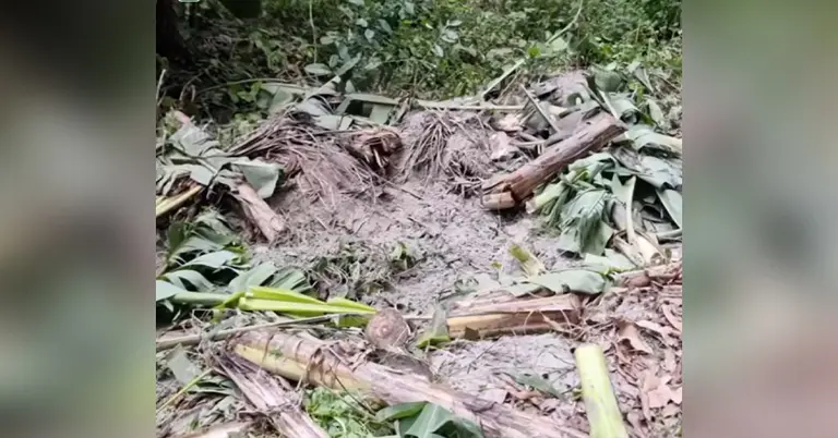 ককটেল বিস্ফোরণের স্থান